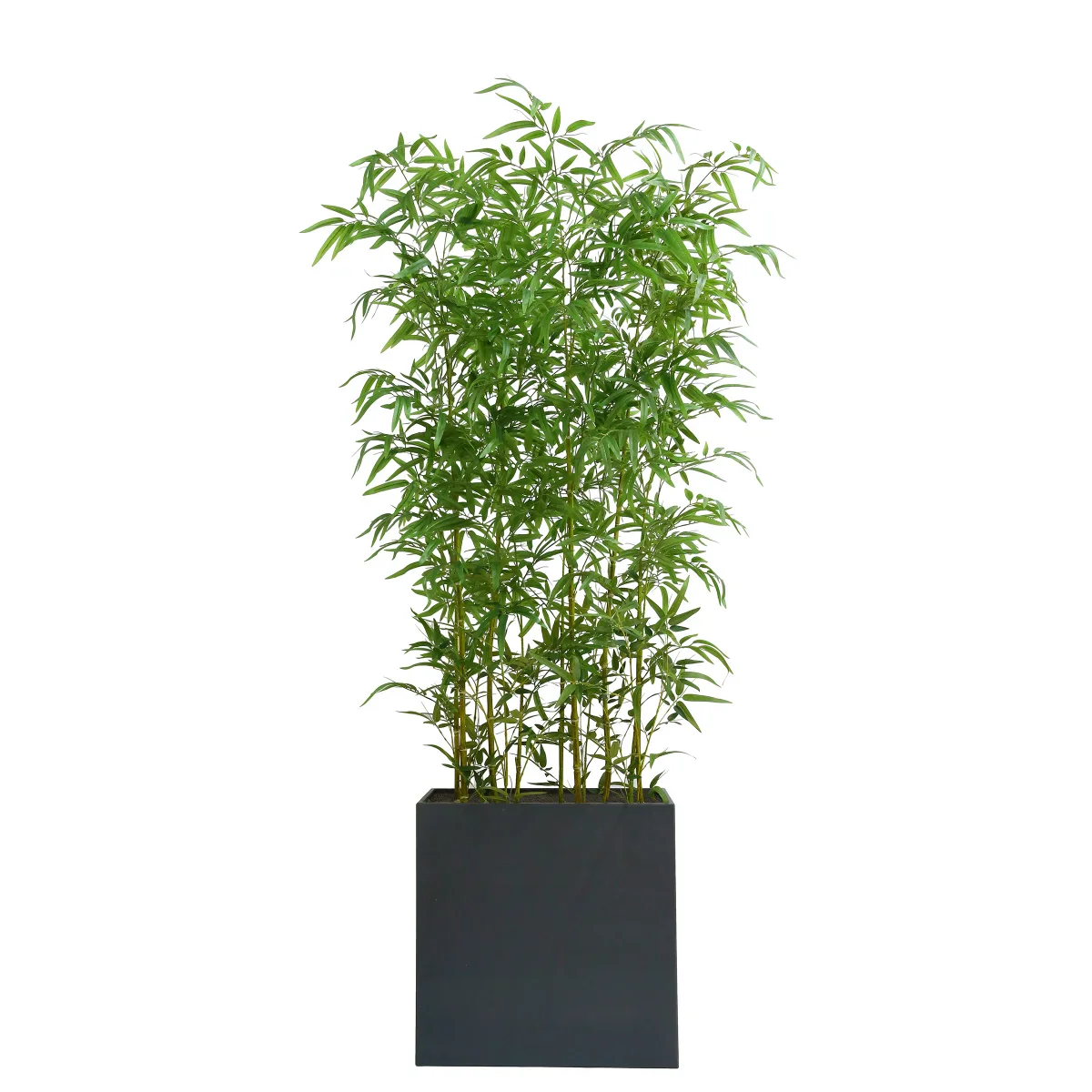 CGH - Séparateur de pièce en bambou artificiel de 2,0 m (6,5 pi)
