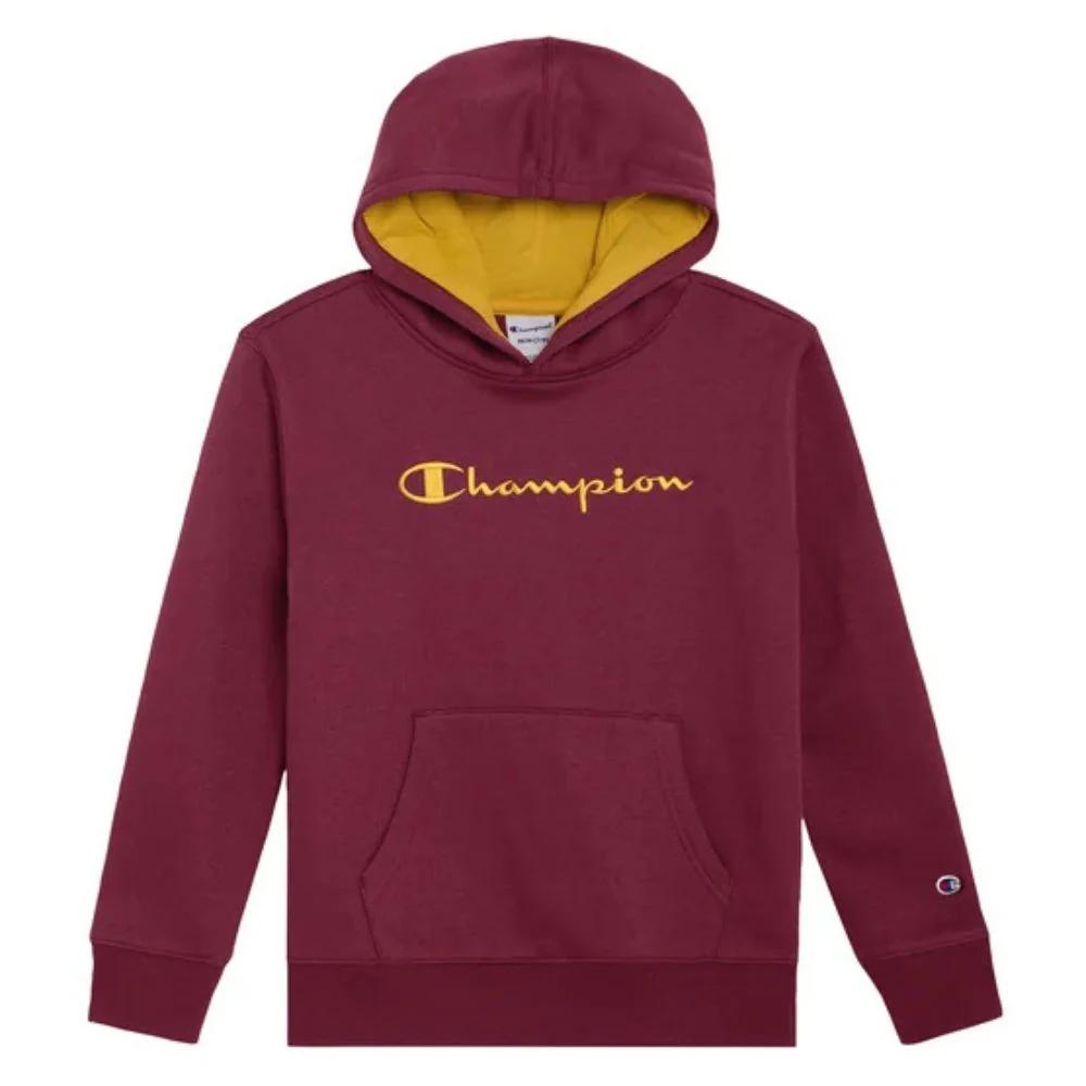Champion - Chandail à capuchon - Image 5