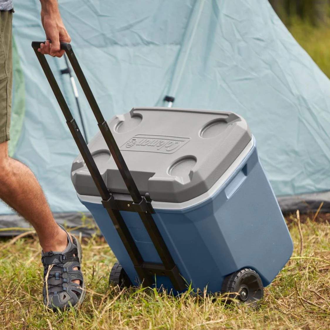 Coleman - Glacière à roulettes rigides, avec poignée, 61,5 L, bleu - Image 3