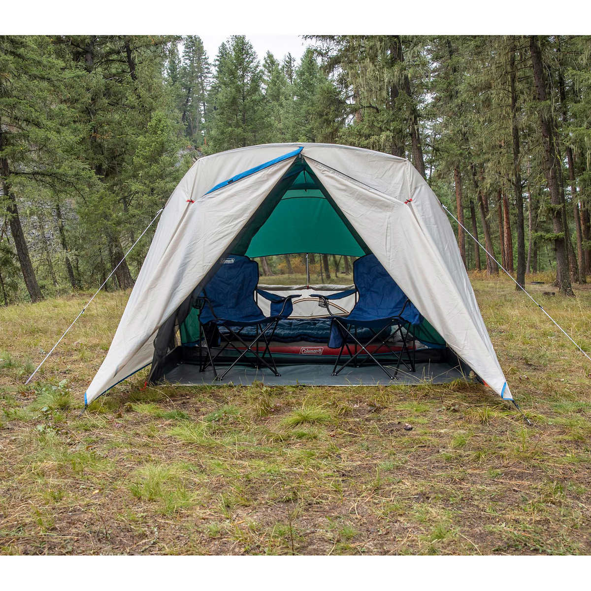 Coleman - Tente de camping cabine pour 4 personnes avec moustiquaire - Image 6