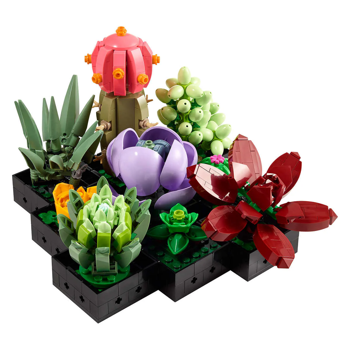 LEGO - Plantes succulentes décor végétal - 10309 - Image 2