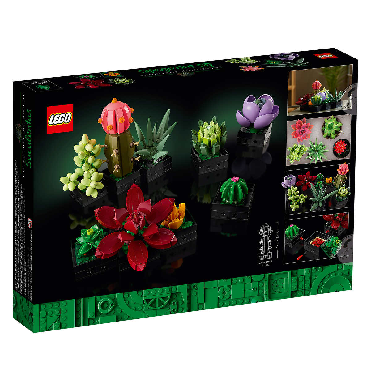 LEGO - Plantes succulentes décor végétal - 10309 - Image 4
