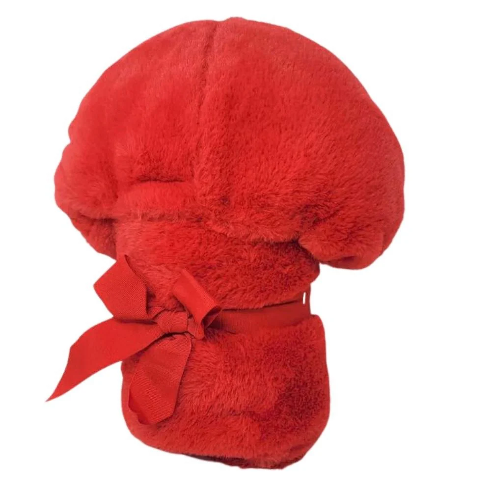 Disney - Couverture Ă capuche - Image 9