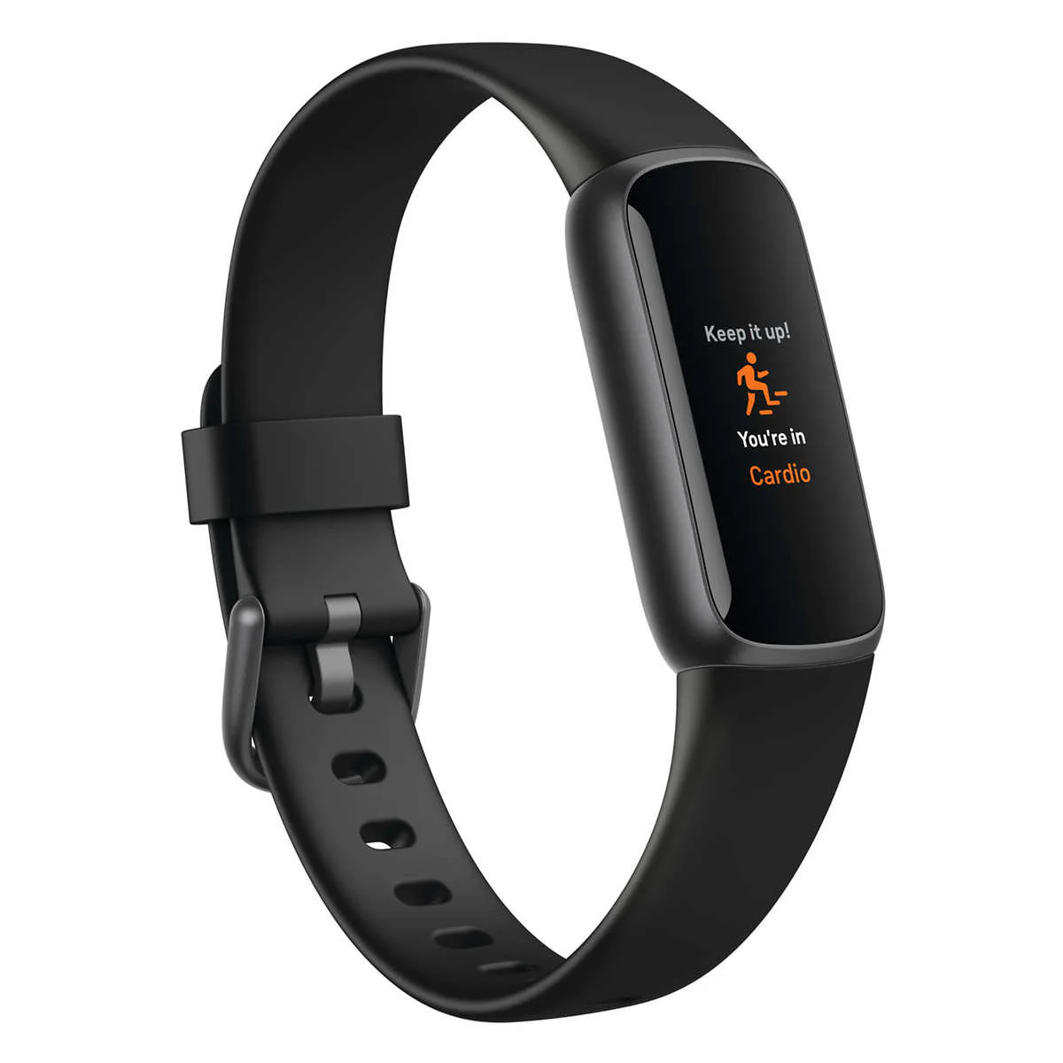 Fitbit - Montre de luxe avec deux câbles de chargement - Image 2