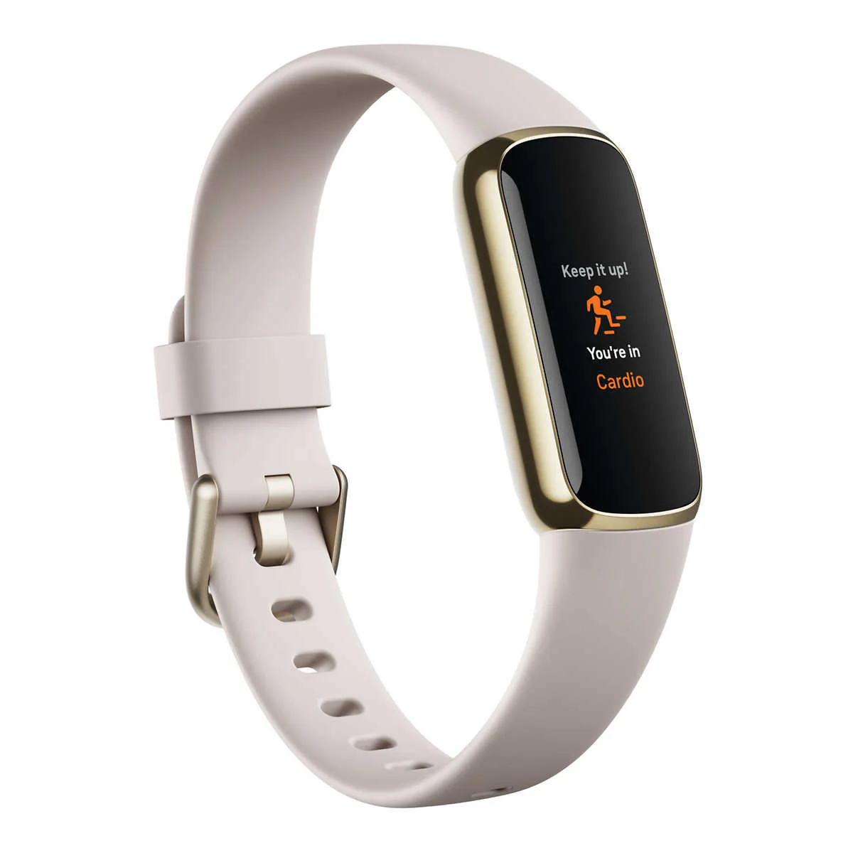 Fitbit - Montre de luxe avec deux câbles de chargement - Image 5