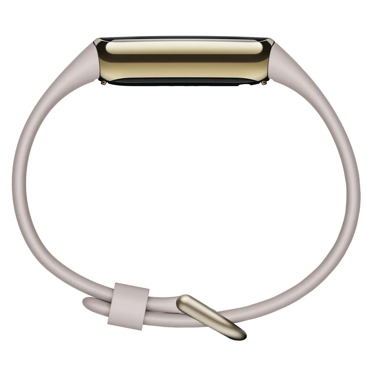 Fitbit - Montre de luxe avec deux câbles de chargement - Image 6