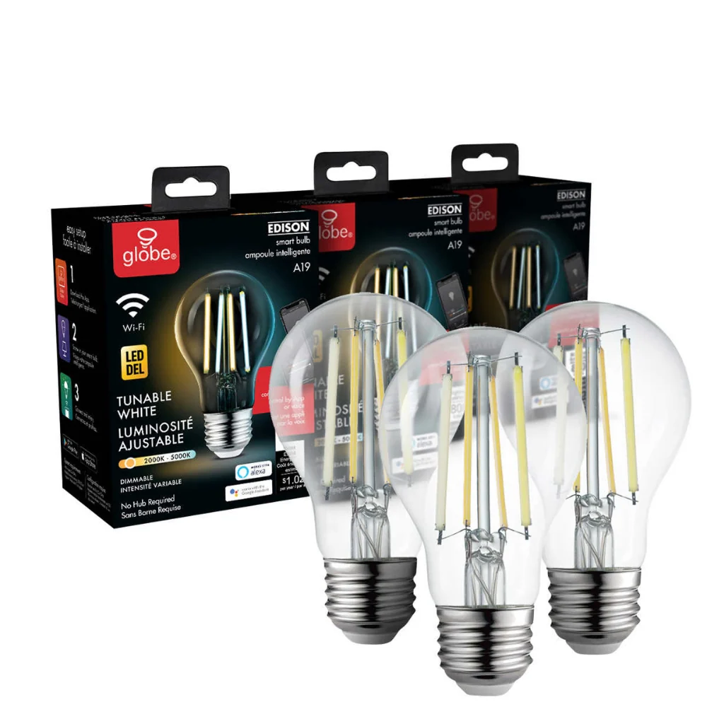 Globe Électrique - Ampoule intelligente Wi-Fi A19 avec filaments visibles à DEL à intensité variable, blanche - Image 2