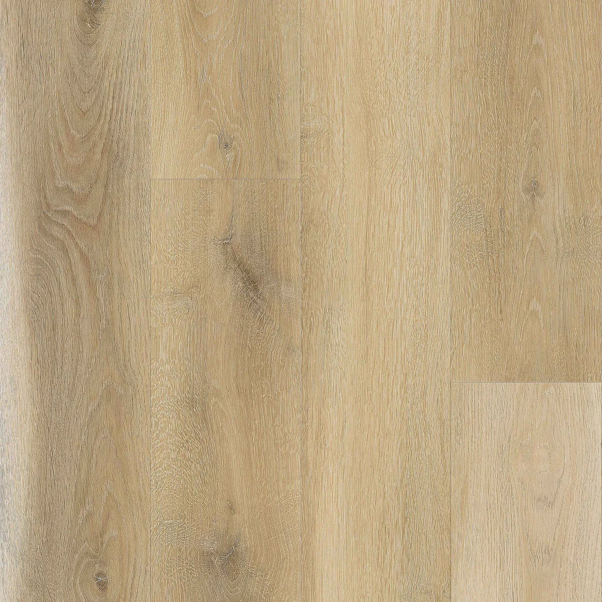 Golden Select - Plancher de vinyle SPC Ă noyau rigide Biscotti - Image 2