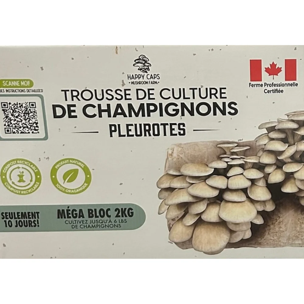 Happy caps - Trousses de culture de champignons - Image 2
