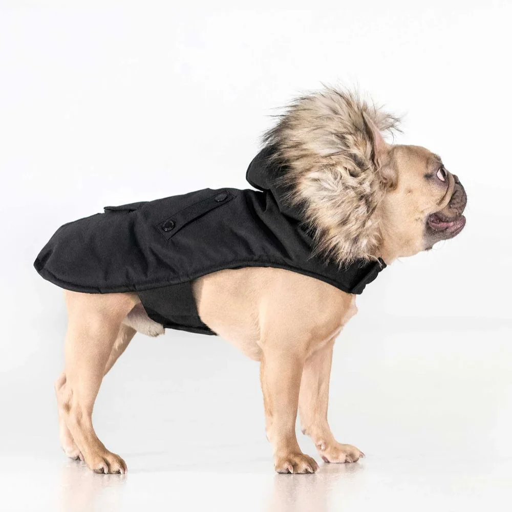 Noize - Karter - Manteau pour chien - Image 2