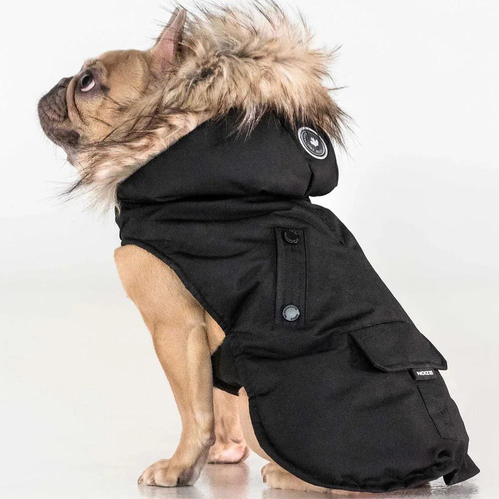 Noize - Karter - Manteau pour chien - Image 3