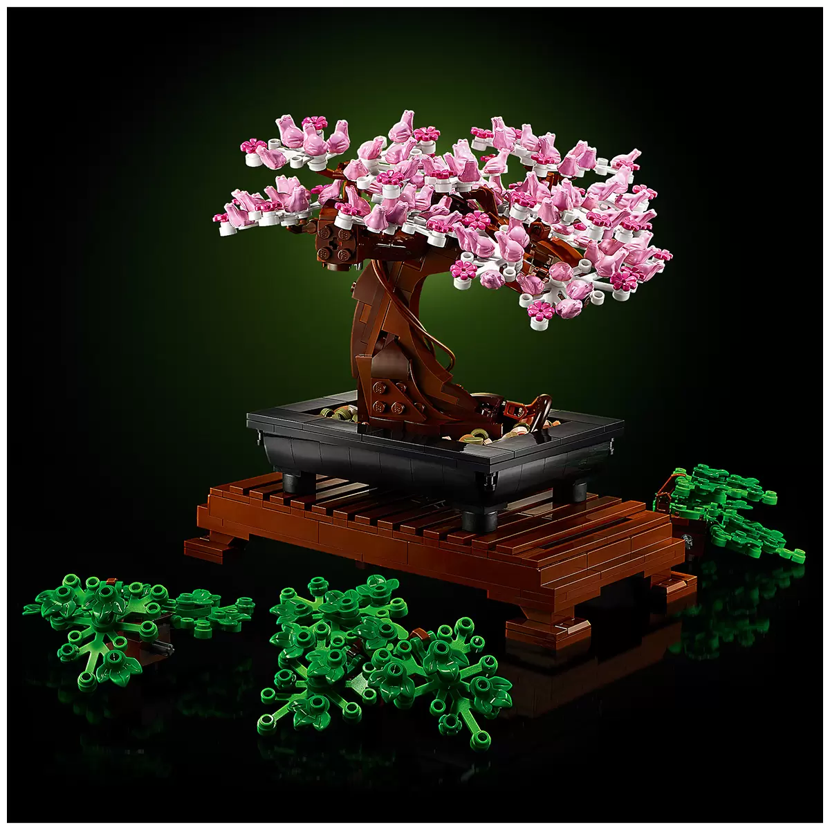 LEGO - Arbre Bonsaï - 10281 - Image 7