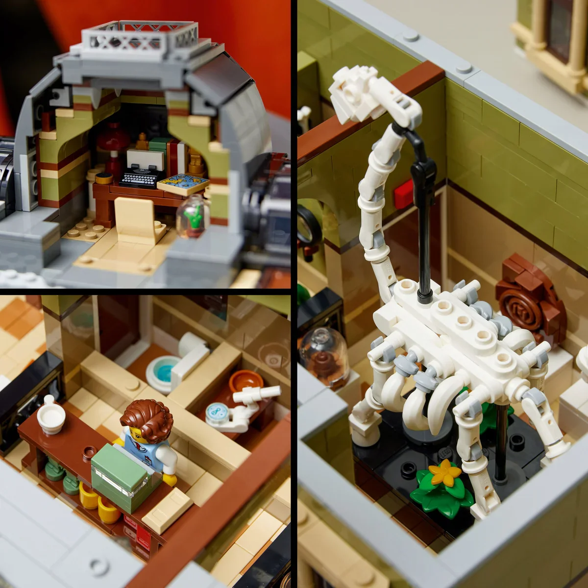 LEGO - Icons Musée d'histoire naturelle - 10326 - Image 3