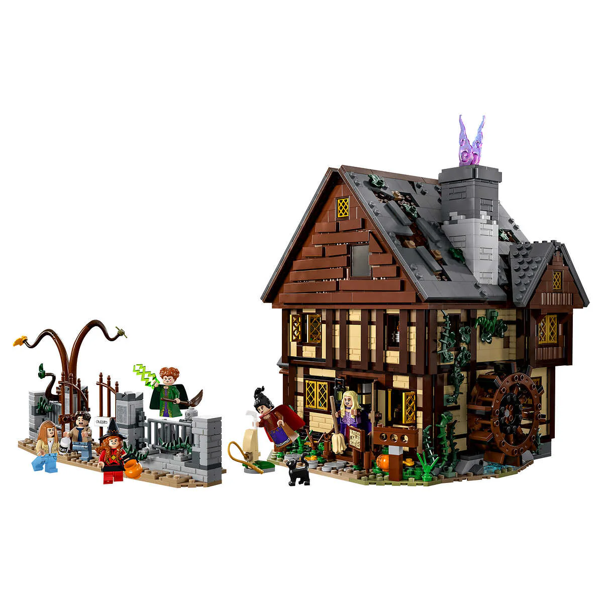 LEGO - Ideas Disney Hocus Pocus : La maison des sœurs Sanderson - 21341 - Image 3