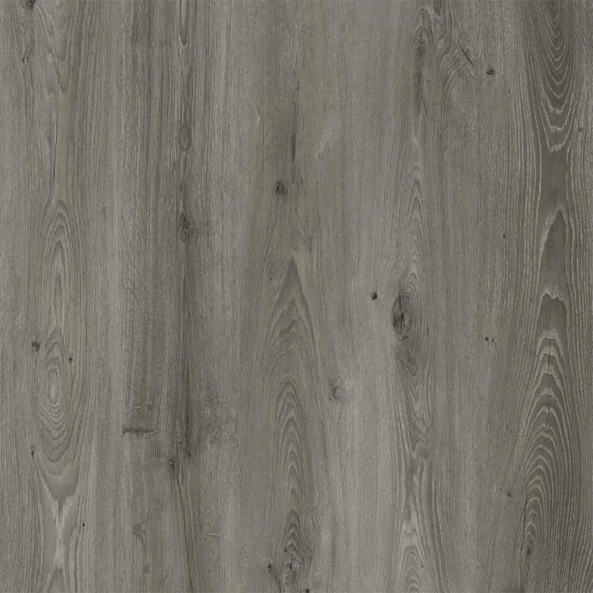 Mono Serra - Revêtement de sol en vinyle SPC Luxuria Silver Oak 15 cm (5,91 po) - Image 2