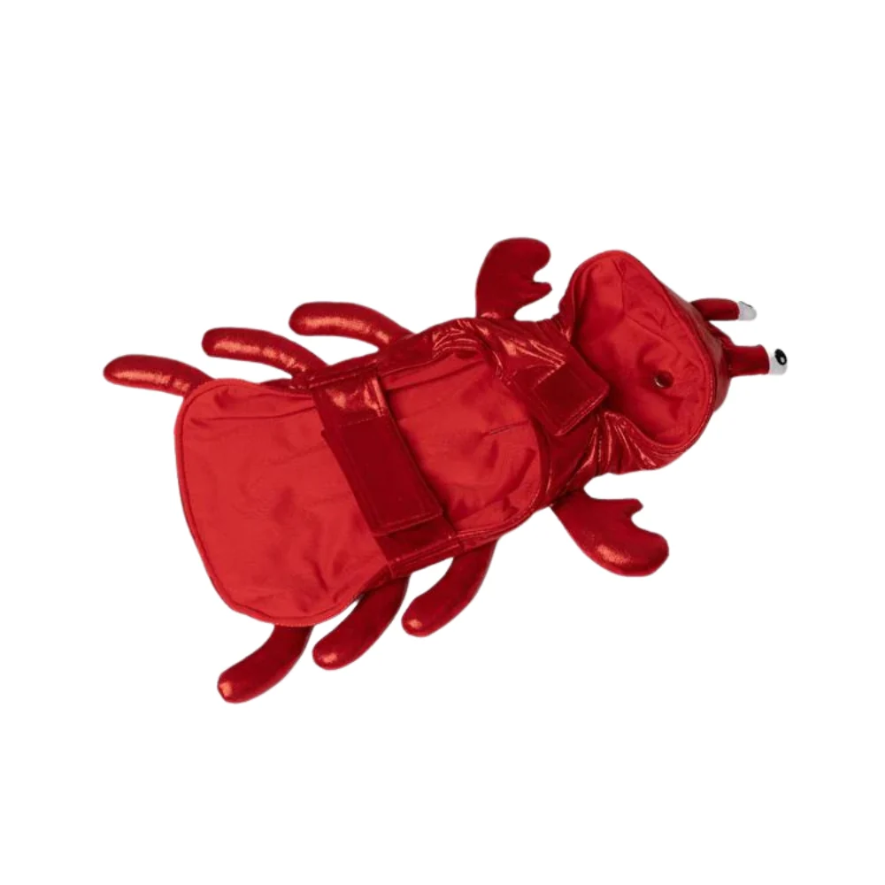 Silver paw - Costume de homard ludique - Image 4