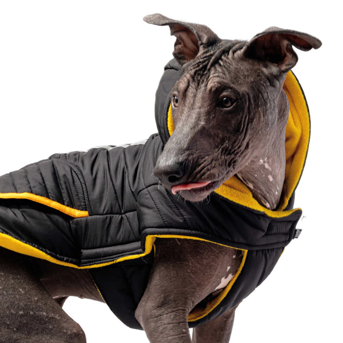 Silver Paw - Veste réflective pour chien - Image 4