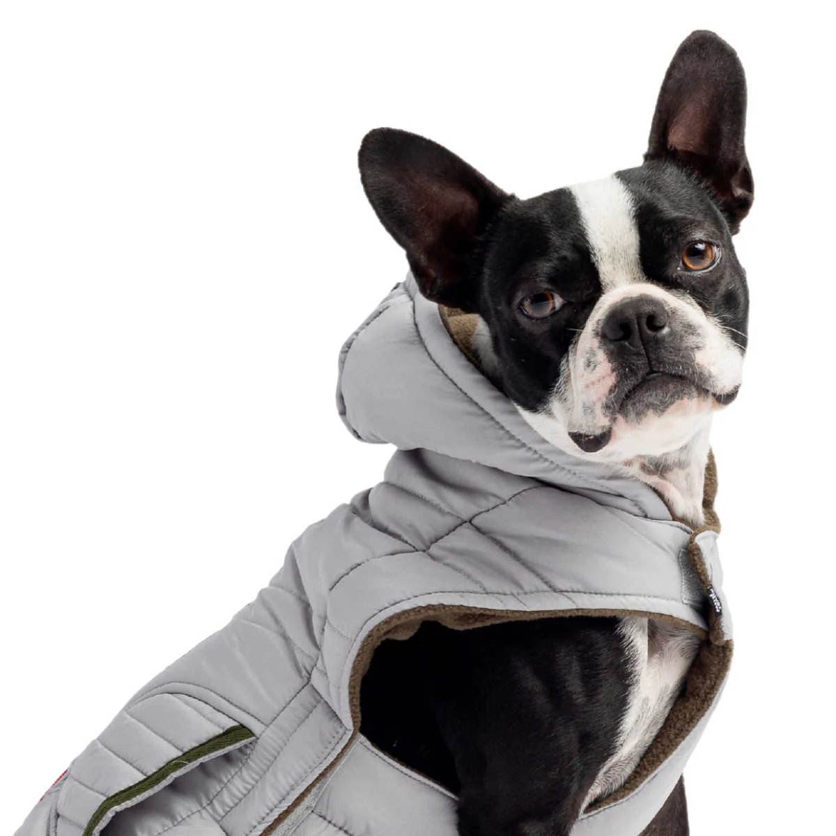 Silver Paw - Veste réflective pour chien - Image 7