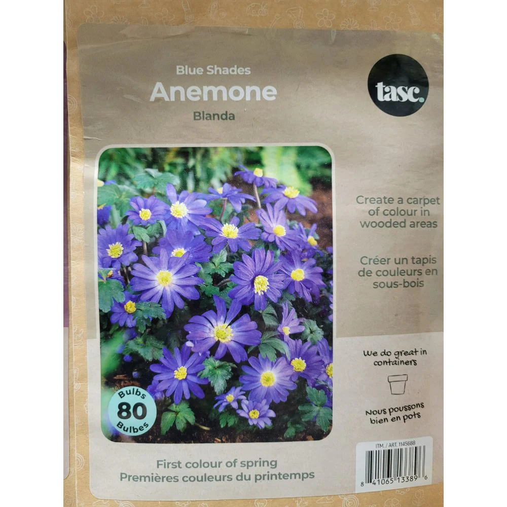Tasc - Assortiments de bulbs de fleurs - Image 18