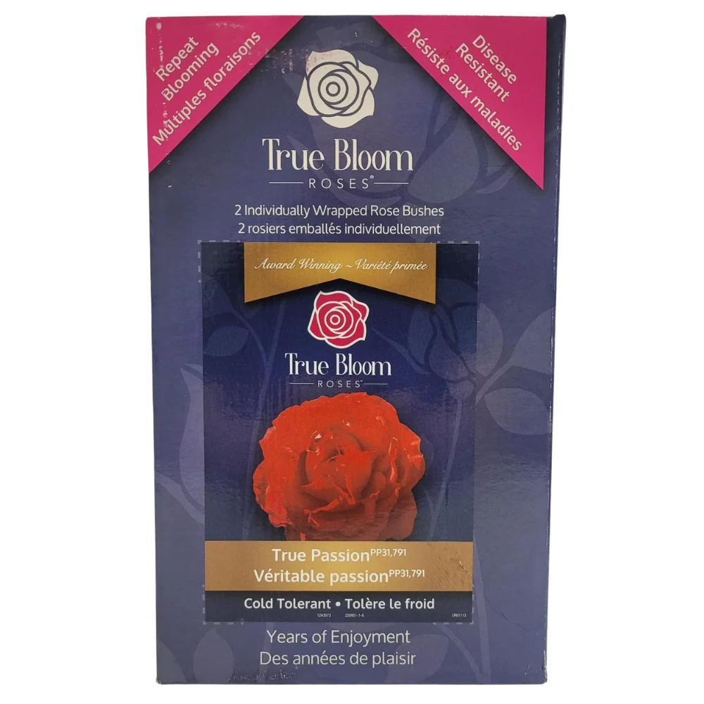 True Bloom Roses - Assortiment de roses - Image 2