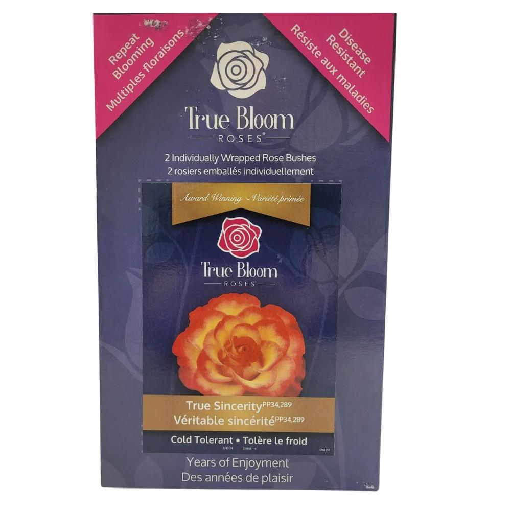 True Bloom Roses - Assortiment de roses - Image 3