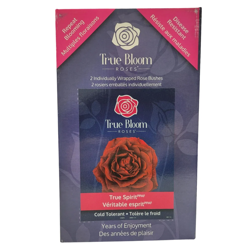 True Bloom Roses - Assortiment de roses - Image 4