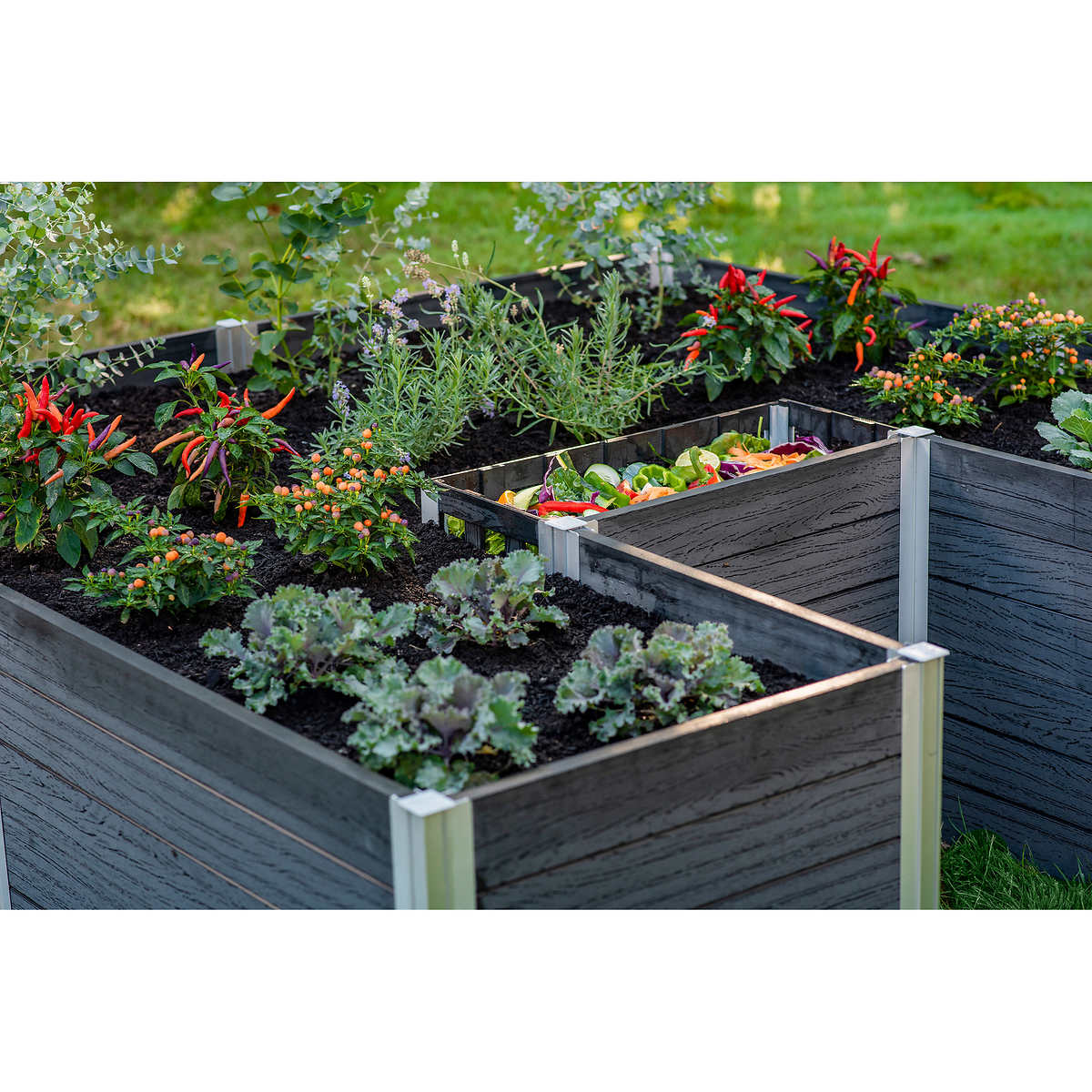 Urbana - Jardin de compostage en trou de serrure - Image 4
