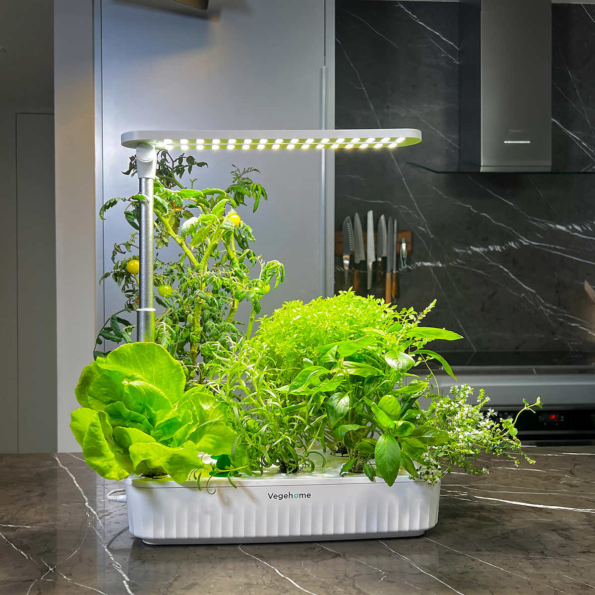 Vegehome - Jardin pro d’intérieur avec un ensemble de démarrages de 12 capsules - Image 2