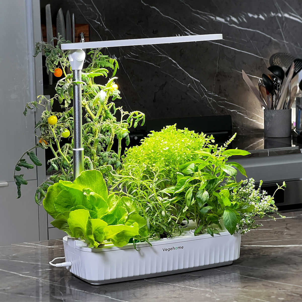 Vegehome - Jardin pro d’intérieur avec un ensemble de démarrages de 12 capsules - Image 3