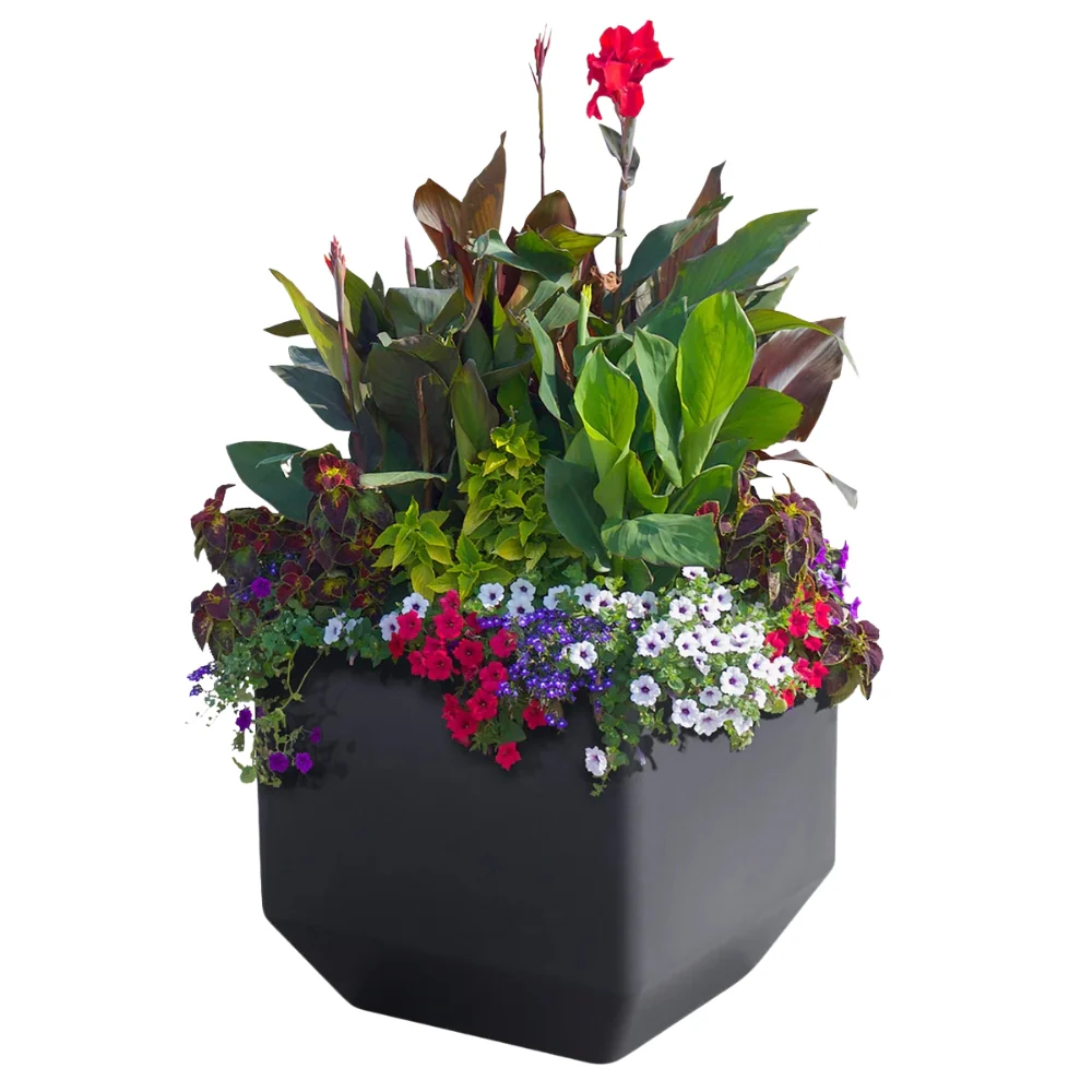 Versa - Jardinières carrées de 40,6 cm (16 po) avec système d’auto-irrigation