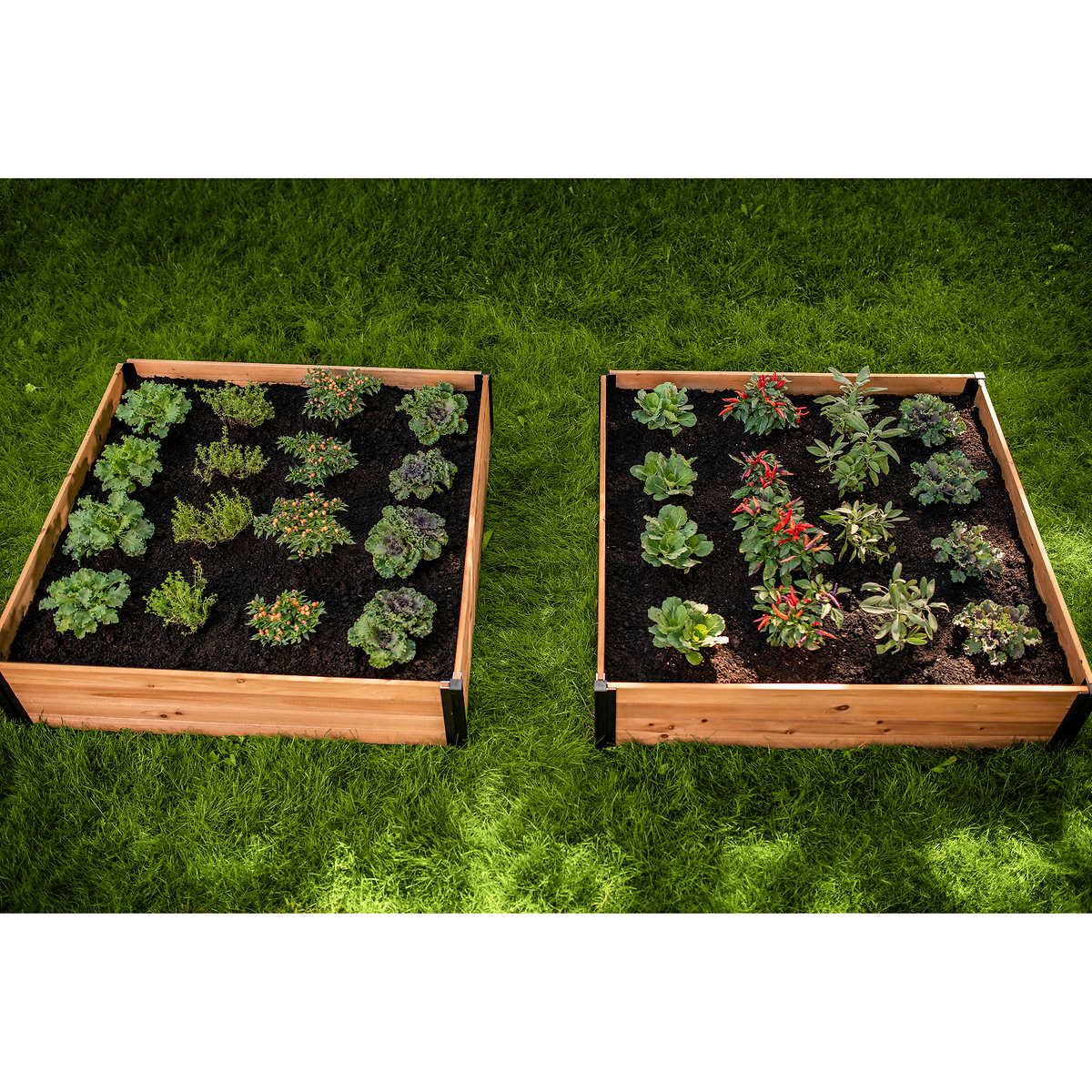 Vita - Ensemble de 2 lit de jardin Mezza 4 pi x 4 pi - Image 3